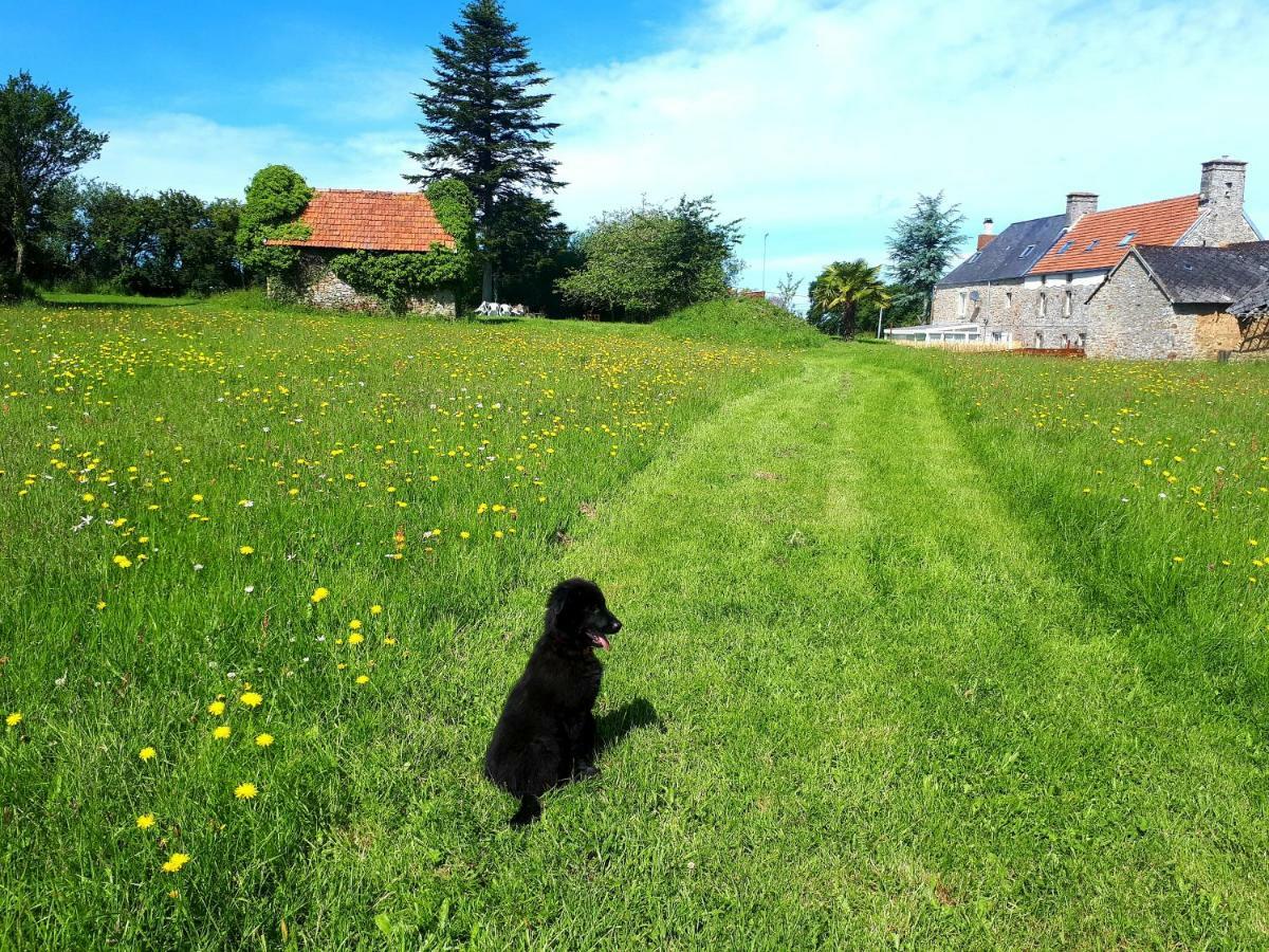 L' Anpeg, Gite Dans Le Cotentin Jusqu'A 8 Personnes Besneville Exterior photo